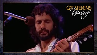 Watch Cat Stevens Ruins video