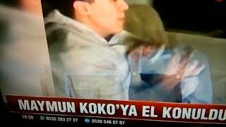 Meriç Izginin Koko Adlı Maymununa El Konuldu