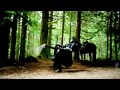 You'll Be In My Heart - Once Upon A Time Couples