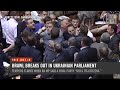 Brawl