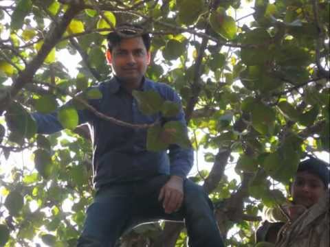CHORE GE NA HUM TERA SATH O SATHI