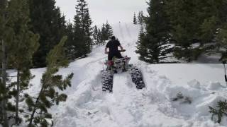 Canam New Apache Backcountry Tracks