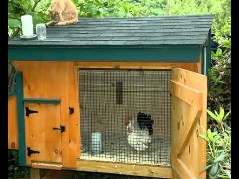 Chicken coop plans download | Cheap | easy | how to build | chicken 