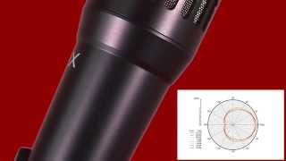 This is the Audix i5 Instrument Microphone