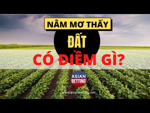 Giải mã giấc mơ thấy đất - Con số lô đề liên quan đến hình ảnh này | Asianbetting.net