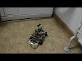 mit Robot Electronics Autonomy