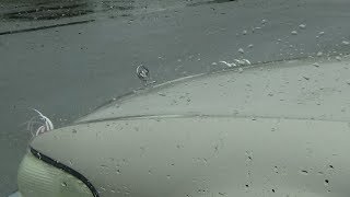 A Car With Eyelashes