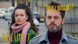 Yaralı Kuşlar 7. Bölüm
