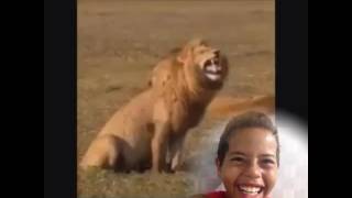 Reagindo A Mulher Dançando