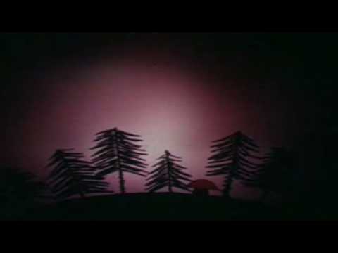 Local Distortion Video