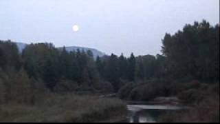 Watch Tom Paxton Looking For The Moon video