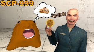 Never Give Cookie SCP-999