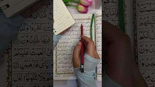 Surah Baqarah 31-37 Live Highlight