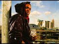 Big Kuntry King - Chris Brown (New Hot Music 2009)