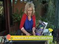 A Growing Passion - How To Start Seeds