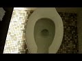 '60s American Standard Madera @ Golden Gate Fields For ILoveVintageToilets & dieselducy