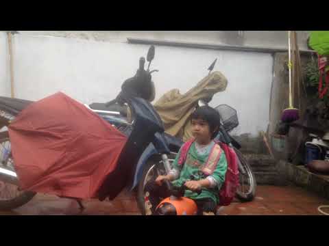 hồi nuôi chó xù