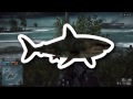 Paracel Storm Easter Egg - Shark + UFO = Monster?