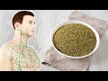 The Many Health Benefits of Oregano and How to Use It