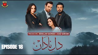 Dil E Nadan Episode 18 Mikaal Zulfiqar Amar Khan