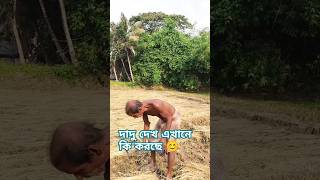বষটত কক করলম আজকFishদদ ক করছDay In My Life Short Video