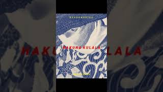 Hakuna Kulalano Sleep - Bshdowrrior Ft Mekatones