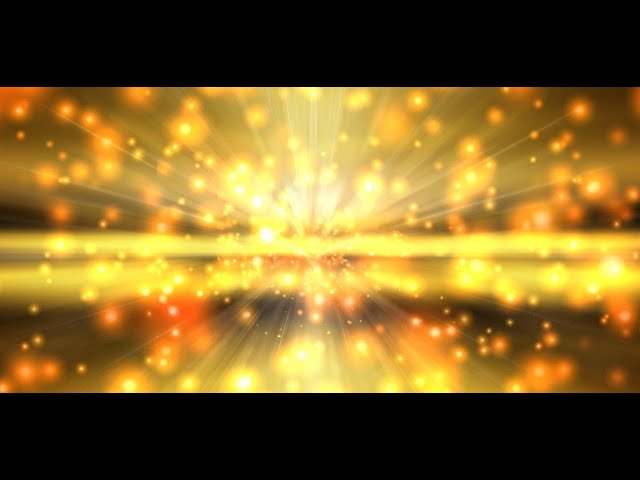 All Videos