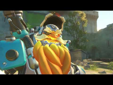 torb potg 22 10 08 12 03 49
