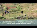 Bird crime on Malta: Spring hunting season 2013, Montagus Harrier shot down, CABS Bird Guards