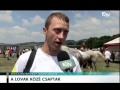 A lovak közé csaptak – Erdélyi Magyar Televízió