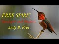 Andy B. Free - Sunlight and Shadow - Soft rock song from album Free Spirit