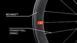 Fulcrum SPEED 40T DB