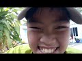 Chan moc ra cay cua khoa meo