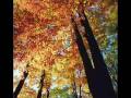 P.I. Tchaikovsky - "Octobre: Chant d'automne"
