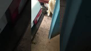Снова Миллиметраж