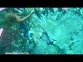 Real Life Mermaid Melissa Footage: Glass Bottom Boat Sighting