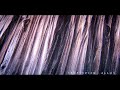 The Arrival Video preview