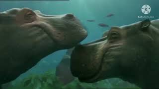 Bbc One And Cbbc Continuity 15Th August 2012