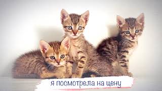 Юта - Муж И Ребенок