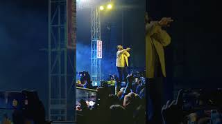 Live Concert