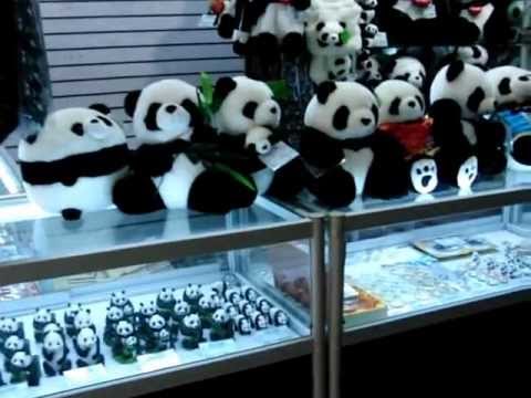 北京 動物園（パンダの剥製）と土産コーナー