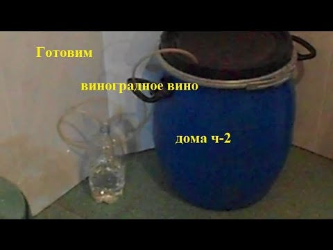 Как сделать виноградное вино простой рецепт 935