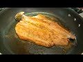 rainbowtrout