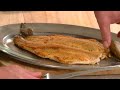 rainbowtrout
