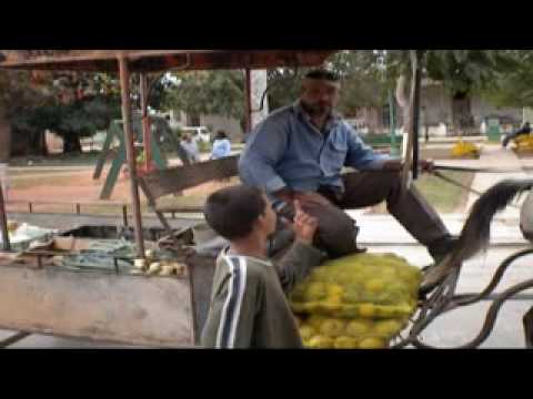 EL VIDEO DE LA CANCION ATREVETE DE CALLE 13 el video de la cancion atrevete de calle 13: