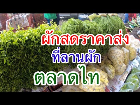 #ตลาดไท#ลานผักสดตลาดไท#ราคาผักสดที่ตลาดผัก