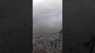 Video 06.09.2017g. Sbros otkhodov v reku Kuban po ul Proyezd Mayskiy g. Krasnodar from Александр Владимирович, Mayskiy drive, Krasnodar, Russia