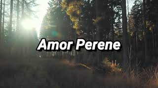 Compilação do CD Por Onde Me Conduzir de Gerson Do Amaral