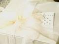 foto dolphin bay ep 5-6 part 1/9