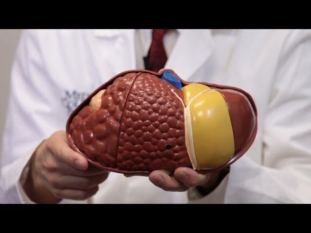 Watch Transplant Team Saves Two Lives With One Liver on YouTube.